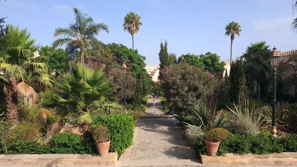 Lush green Andalusian Gardens inside the historic Kasbah of the Oudayas in Rabat, Morocco, featuring palm trees, a stone pathway, and traditional lampposts.