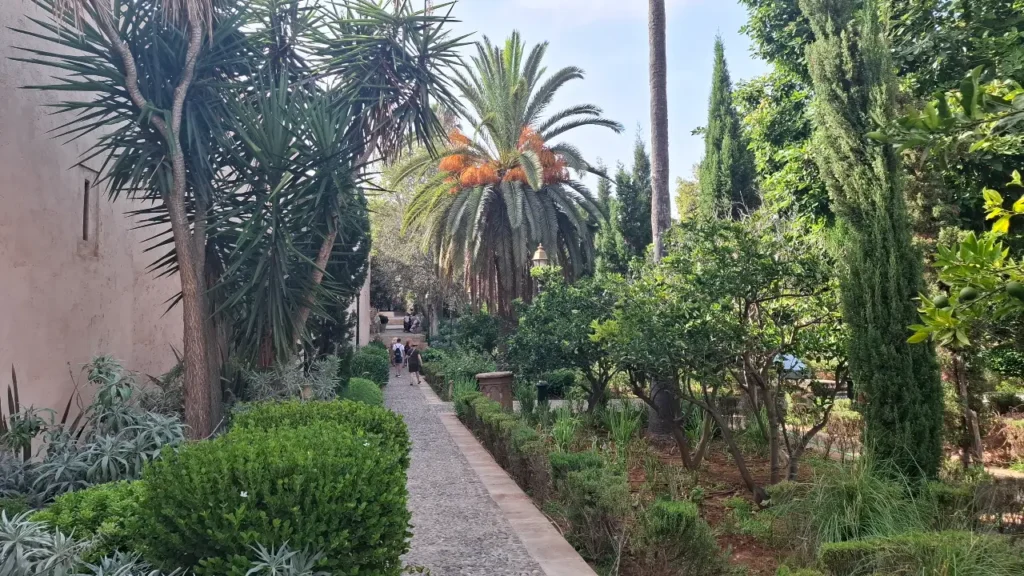 Tree-lined path through the Andalusian Gardens — Kasbah of the Oudayas, Rabat, Morocco