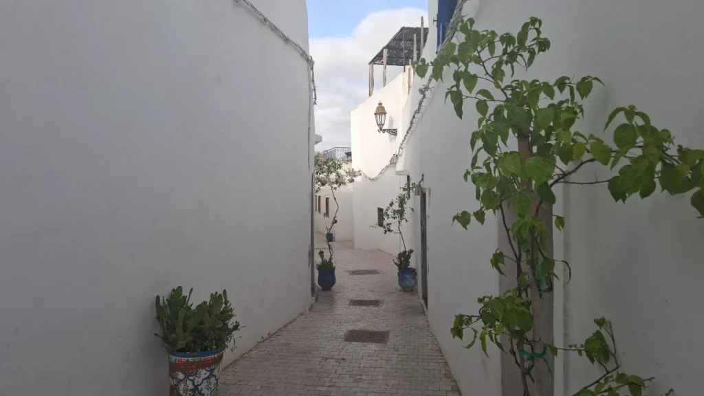 Narrow whitewashed alley inside the Kasbah of the Oudayas in Rabat, Morocco, with blue ceramic pots and a traditional lantern
